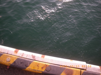 2009年10月31日港タコ釣り.jpg