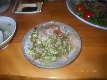 2009年8月22日　野菜料理.jpg